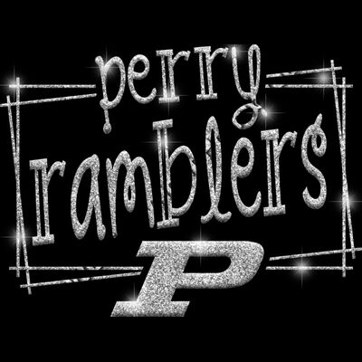 GLT90 SILVER GLITTER Thumbnail