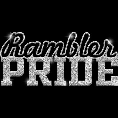 GLT59 SILVER GLITTER Thumbnail